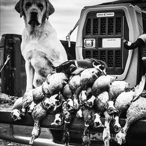 Meet your Posher, Cody